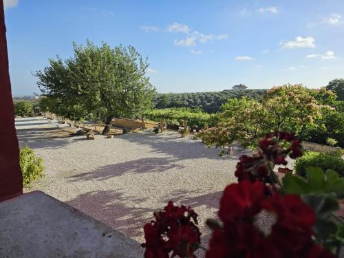 Tenuta degli Ulivi - Dimora Contadina