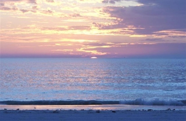 Tequila Sunset - Ground Floor Beachfront! January February Availability 2026!