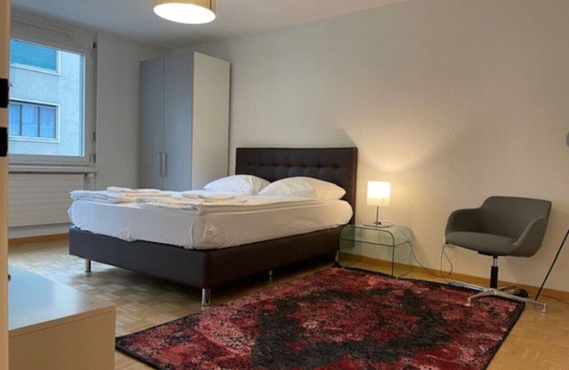 Terrific studio in the city center (Art 9)