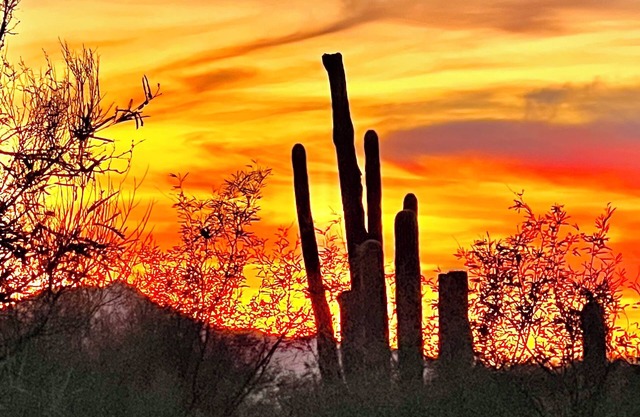 Territorial style home in the serene and picturesque Catalina Foothills.
