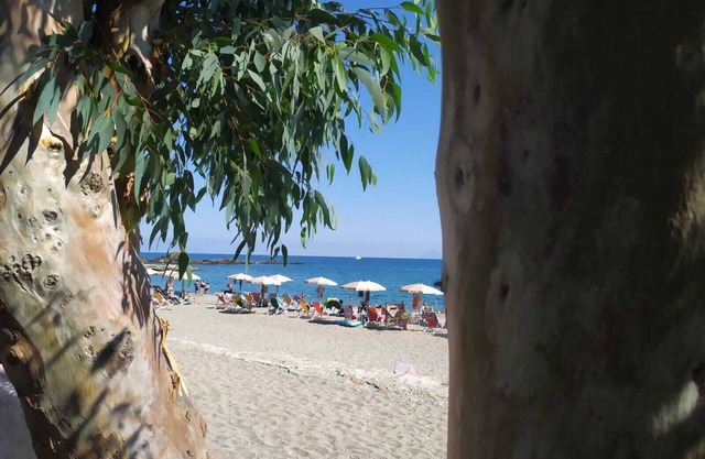 Testa di Monaco Natural Beach