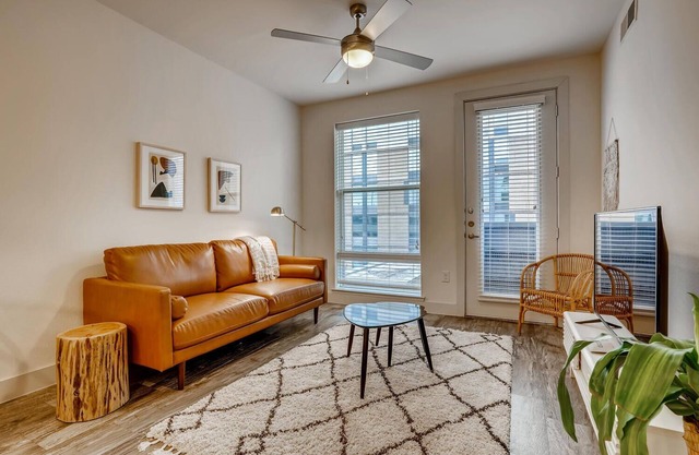 The Bindel: Domain, Pet Friendly, 30+ nights, Highly Walkable!