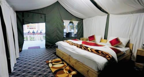 The Brook Camp Hunder, Nubra