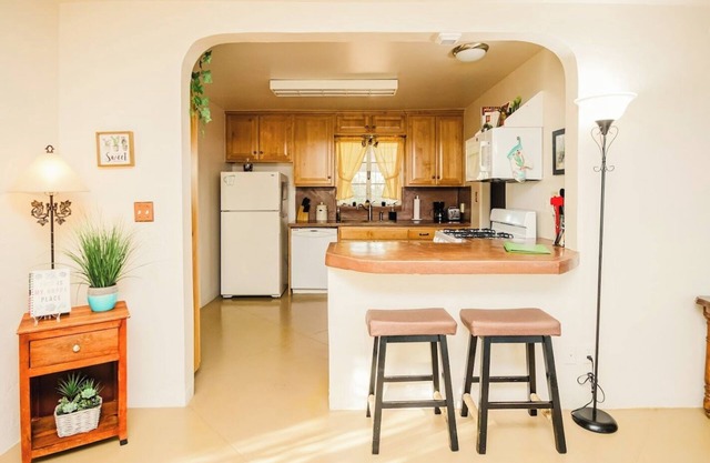 The Cactus House