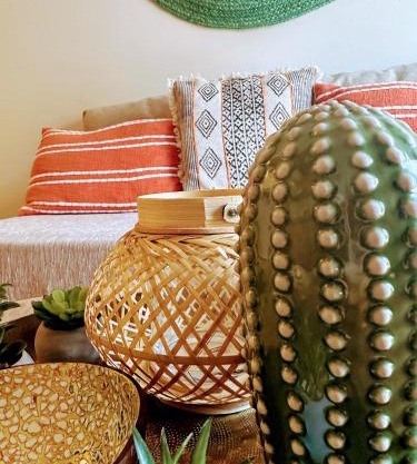 The Cactus Project