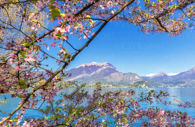 The charm of Lake Como from your personal infiity pool