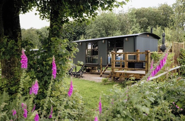 The Drey, a Stunning Cumbrian Shepherd’s Hut