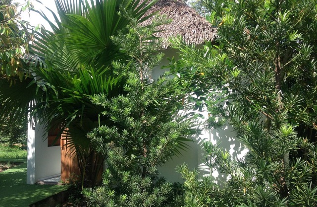 The Durian Lodge at Mekong