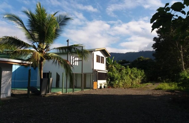 THE FIELD MATAPALO.