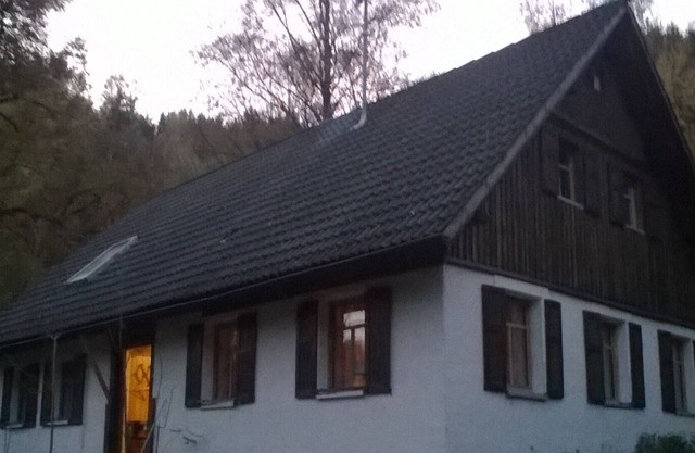 The Forest Way. House in the forest.
