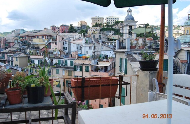 THE GECKO ON THE ROOFS OF GENOA 010025-LT-1029