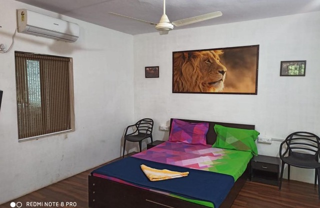 The Gir Lion