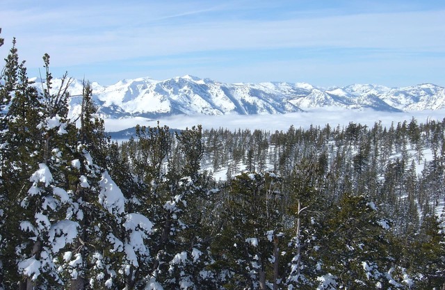 The Grand Residence Club @ Heavenly Gondola