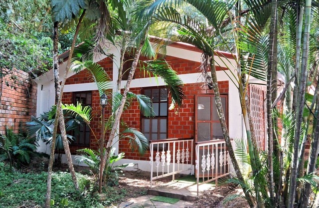 The Green Breeze of Tarapoto