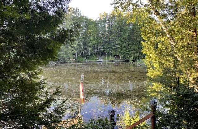 The Greenhouse Cottage - 2 BRS + Bunkie (Pet Friendly)!!