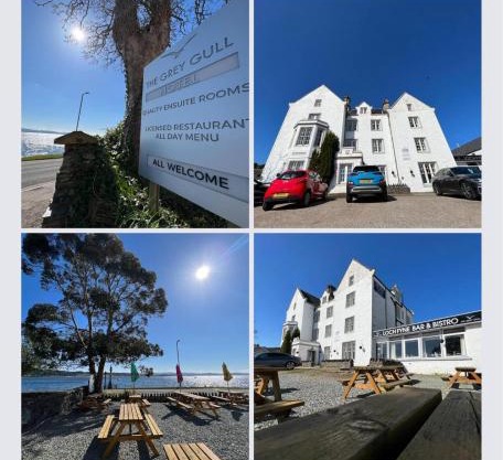 The Grey Gull Hotel