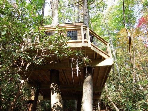 The Hidden Hemlock Tree House