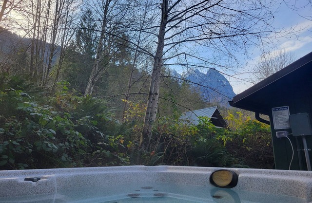 The Lily Pad - rustic cabin for 2+pets, mountain view, river access