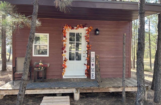 The little cabin in the woods! Nearby great trails and hunting!
