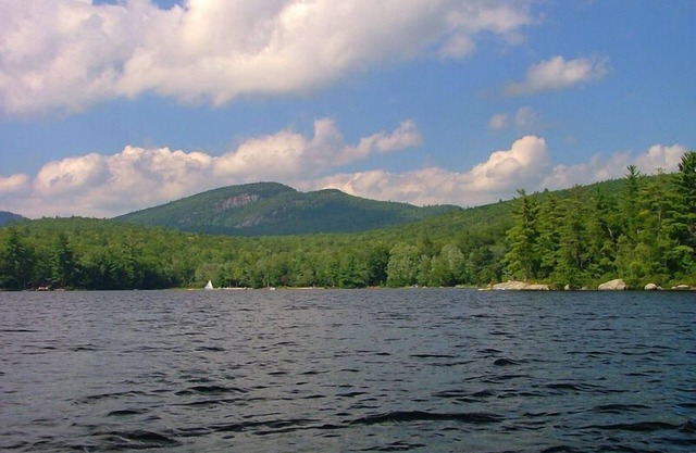 The Mad Moose on beautiful Keewaydin Lake