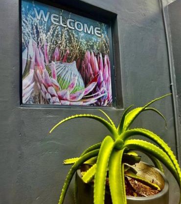 The Midlands Protea