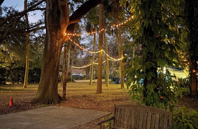 The Nest in Seminole Heights
