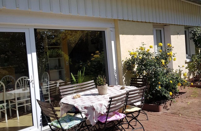 the old matiou workshop