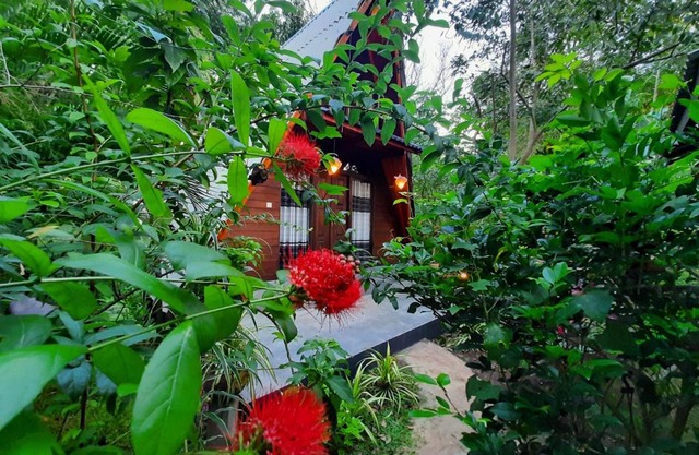 The Otunna Guest House Sigiriya