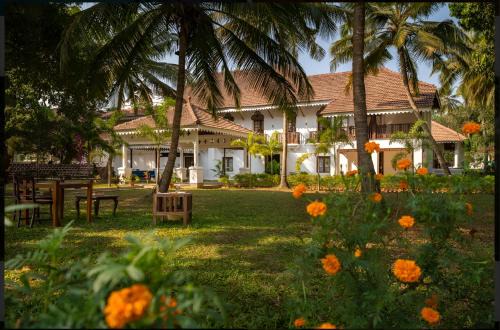 The Postcard Cuelim, Goa