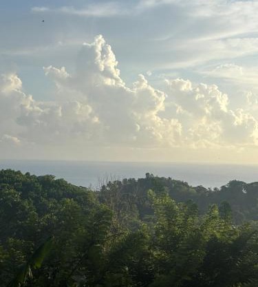 The Ridge - Stone Cottage