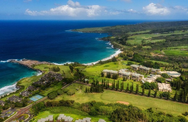 The Ritz-Carlton Maui, Kapalua