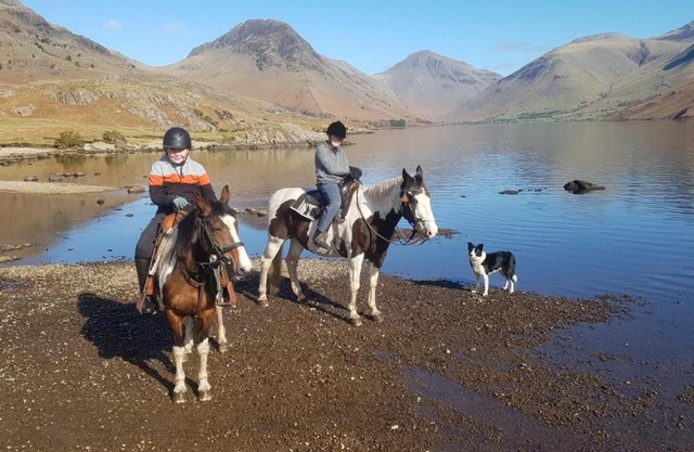 The Rivera Andalusian Stud Farm (Windsor Cottage)