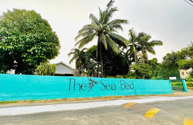 The Sea Bed Seychelles