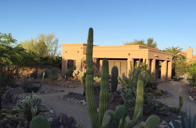 The Sublime Desert Oasis