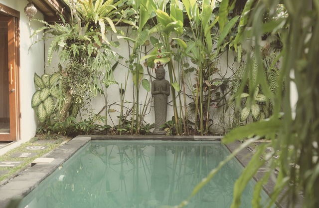 The Third Eye House. Salt water pool. Art. Baths