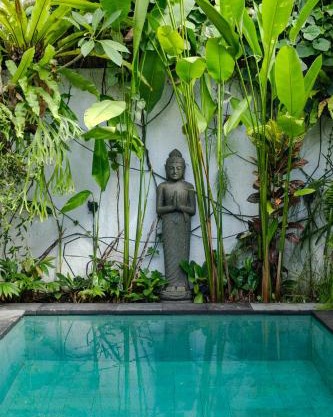 The Third Eye House, Salt water pool, Yoga room