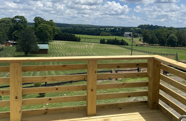 The Vineyard View @M&M Farm