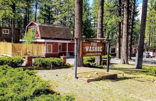 The Washoe