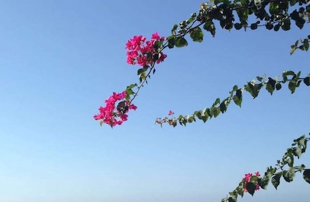 The window on the sea!Villa on the sea of the Naturalistic Oasis of Plemmirio