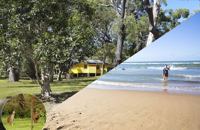 The Yellow Cottage - sub-tropical bush & beach. Pet friendly