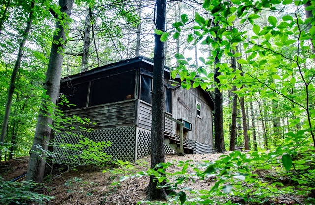 This is a must-see Cabin.