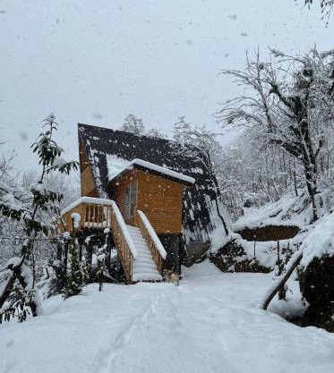 Thoma's hut-თომას ქოხი