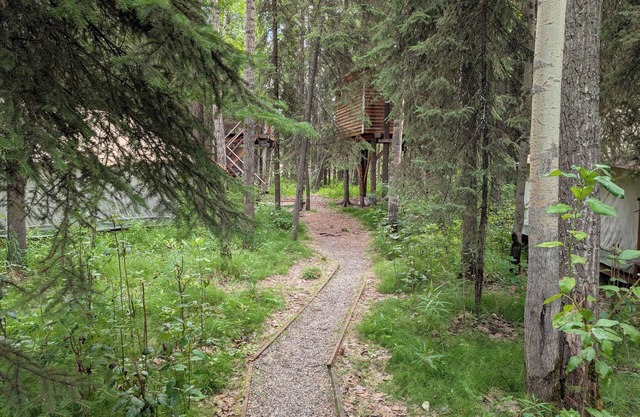 Time for adventure. Sleep in a treehouse. 5 minutes from the airport & downtown!