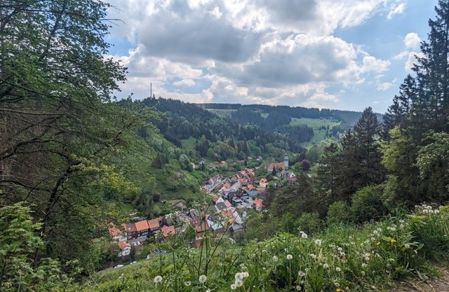 Time to recover! Cozy vacation apartment in the green Harz Mountains!