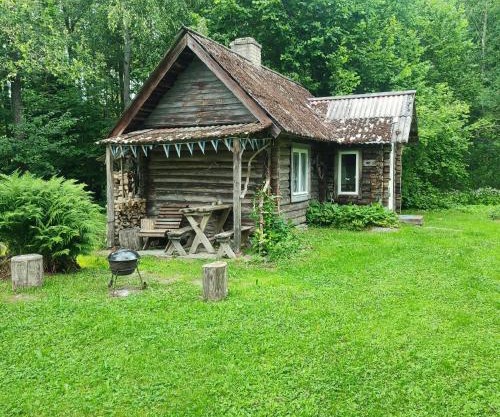 Tiny Cozy House