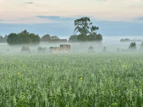Tiny House du Gad Bourgeois