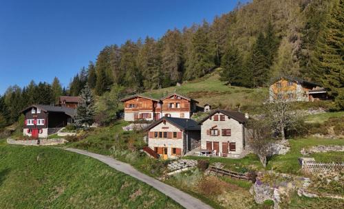 Tiny House facing the Alps - Ski in, Ski out