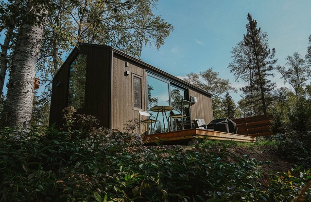 Tofte Trails Private Vacation Rental Cabin with King Bed, Kitchen & Bathroom