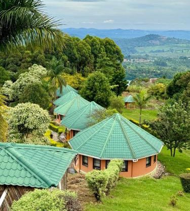 Top of the World Lodges Fort Portal