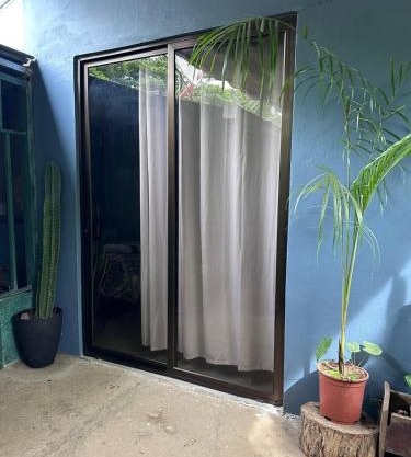 Torito's room